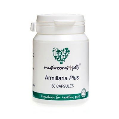Armillaria Plus (450mg) 60db