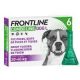 Frontline Combo Spot-on kutya  L 20-40kg min. 3db rendelhető