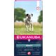 Eukanuba Adult L-XL Lazac 12kg 