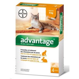   Advantage 40 Spot-on ampulla -  macska/nyúl 4kg-ig 4db ampulla